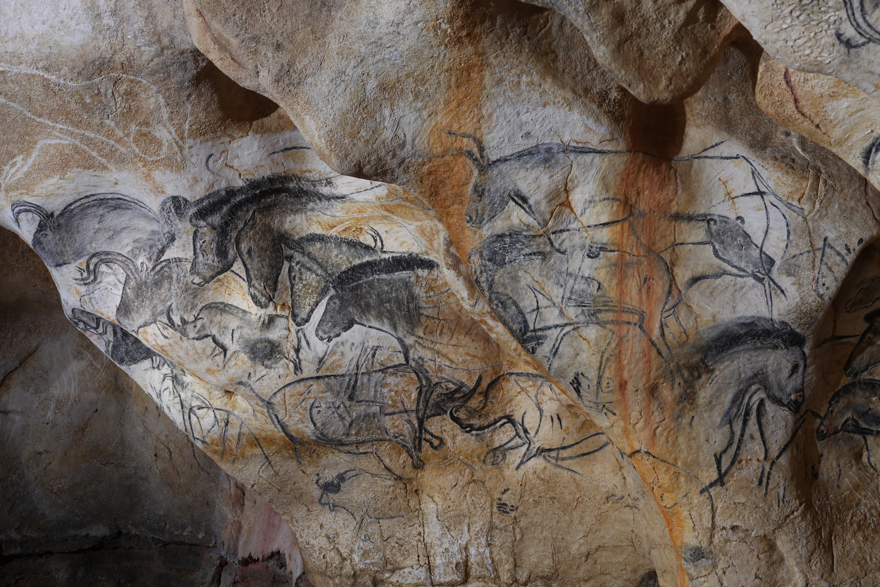 photo de la grotte de chauvet plan large de la peinture représentant des chevaux