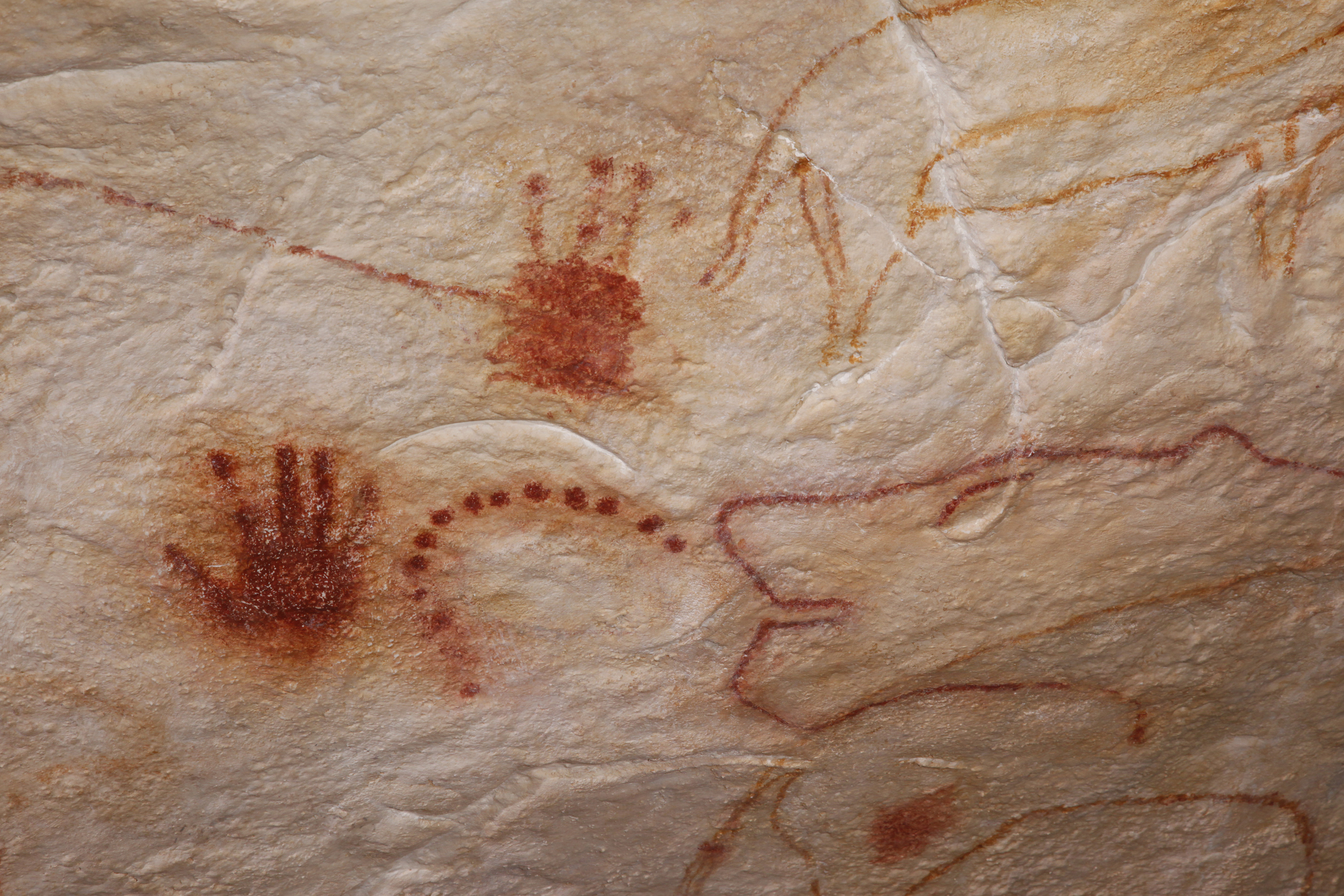 photo de la grotte de chauvet détail empreintes de mains